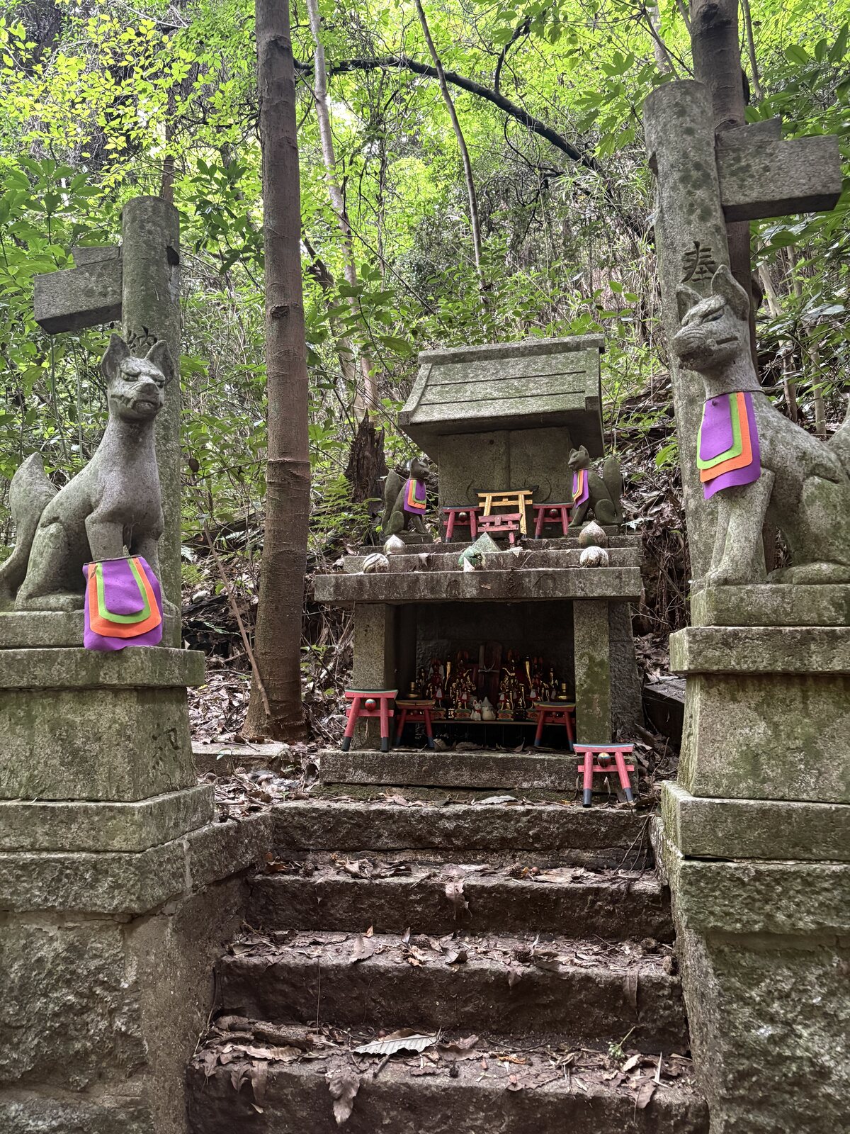 森の中の祠