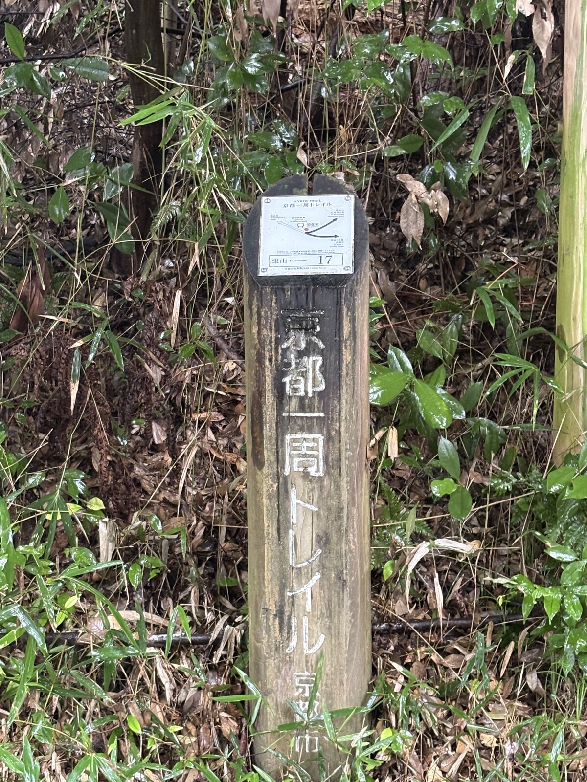 東山17の道標