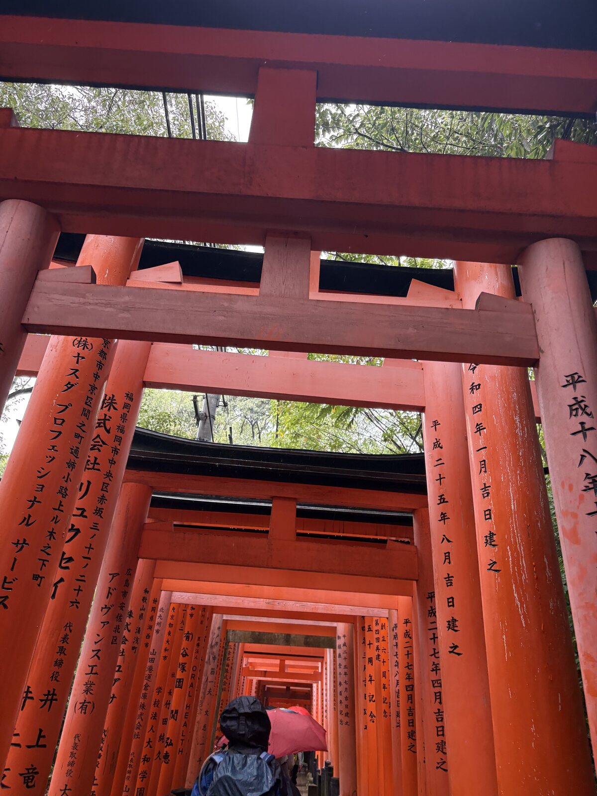 伏見稲荷大社の千本鳥居